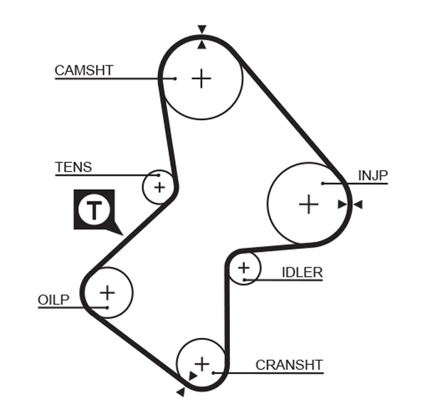 Set distributie curea