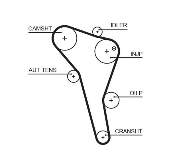 Set distributie curea