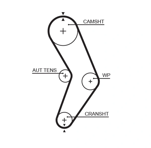 Set distributie curea