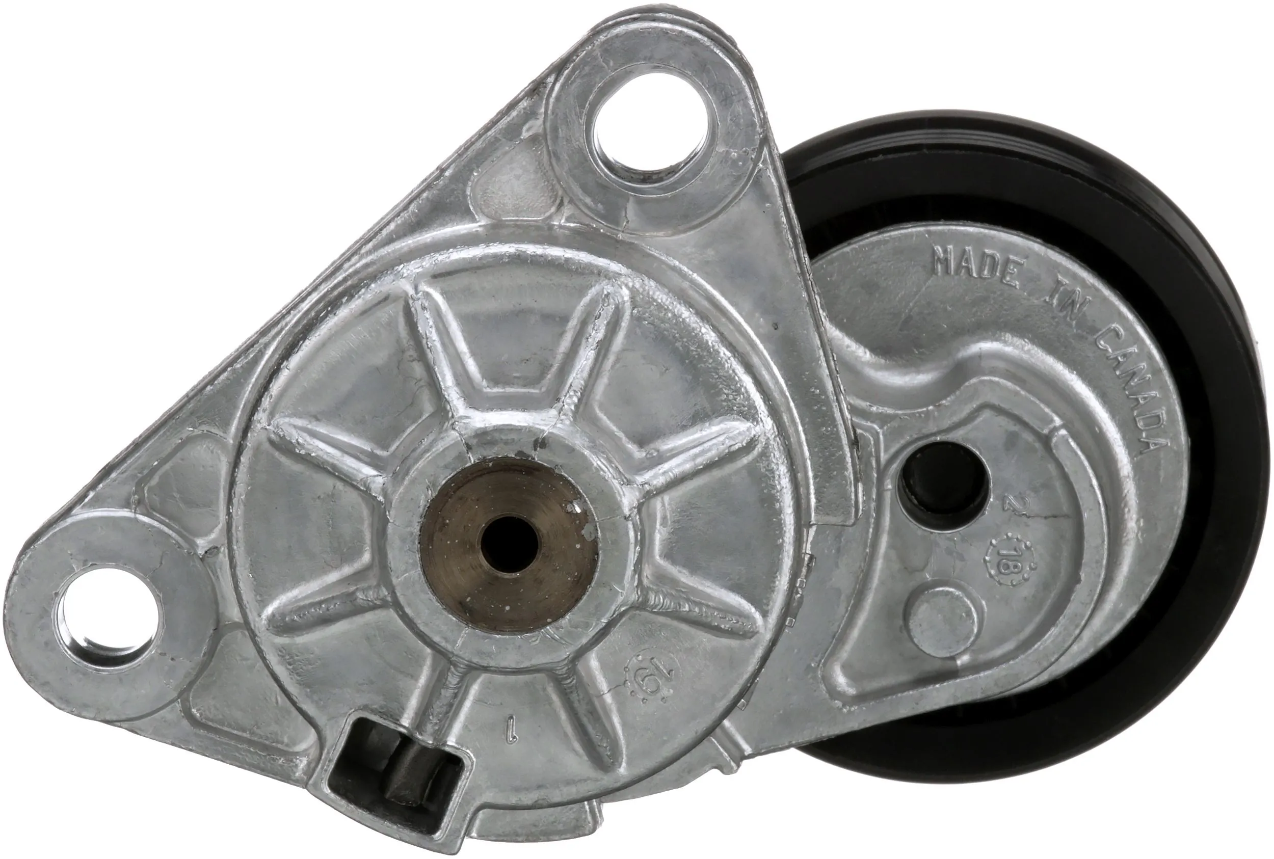 Intinzator curea distributie