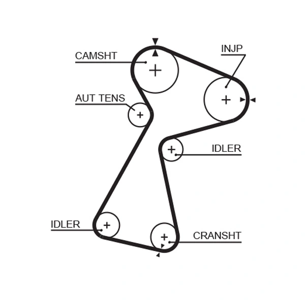 Set distributie curea
