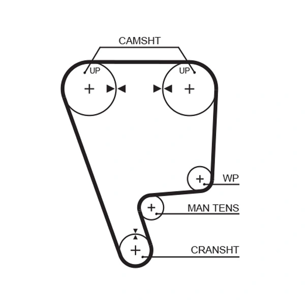 Curea distributie