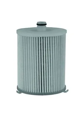 Filtru combustibil