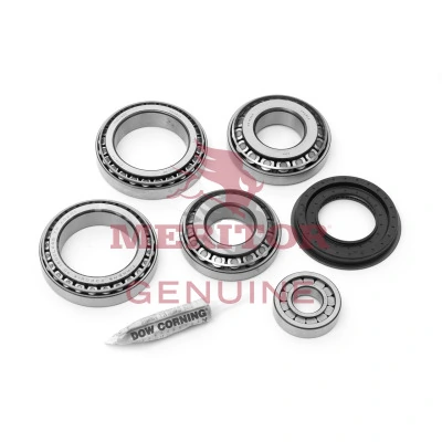 Set rulment diferential