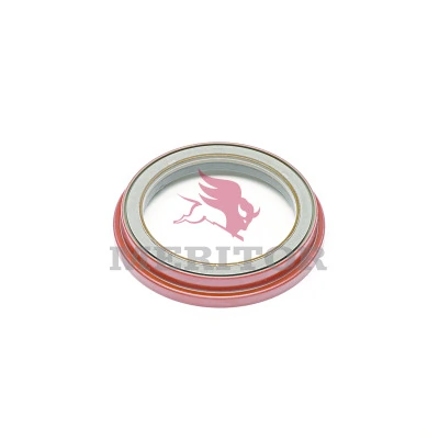 Garnitura capac carcasa diferential