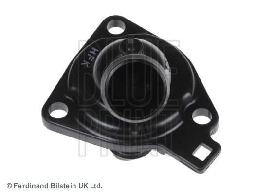Termostat lichid racire
