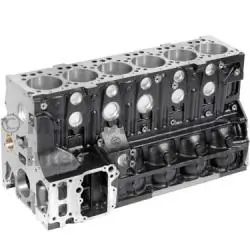 Carter motor