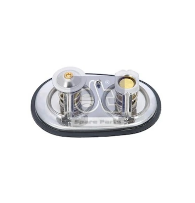 Termostat lichid racire
