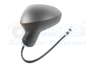 Oglinda exterioara