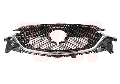 Grila radiator