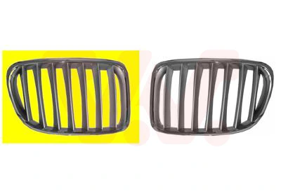 Grila radiator