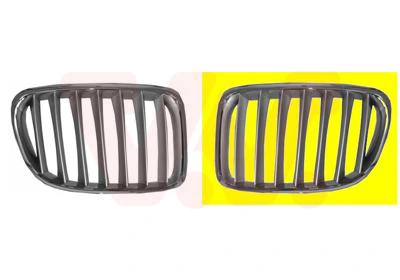 Grila radiator