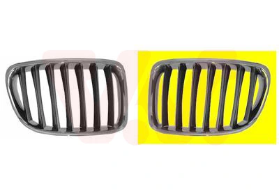 Grila radiator