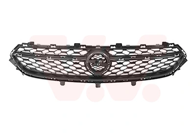 Grila radiator
