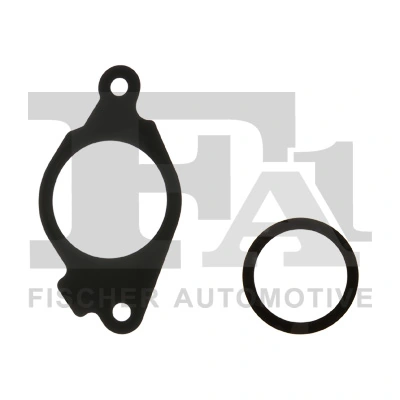 Set garnituri supapa EGR 1.3 D