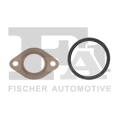Set garnituri EGR 2.0 TDCi