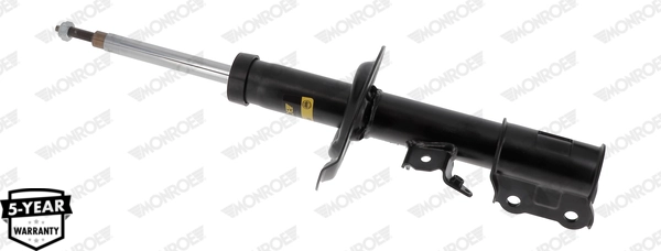 Amortizor