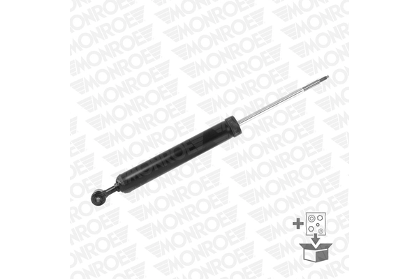 Amortizor
