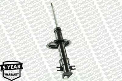 Amortizor