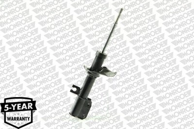 Amortizor