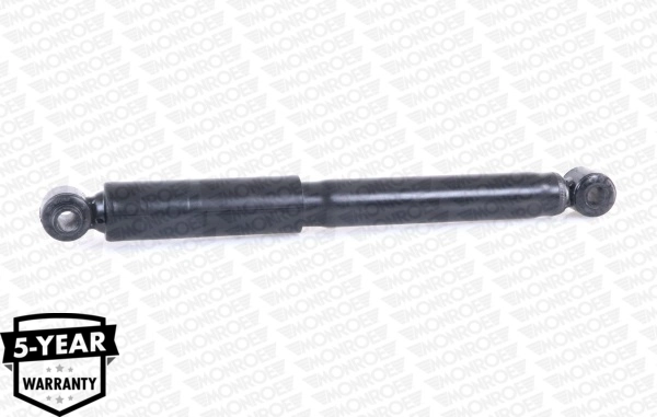Amortizor