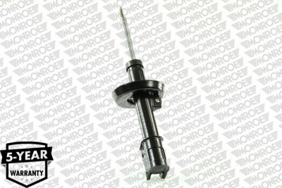 Amortizor
