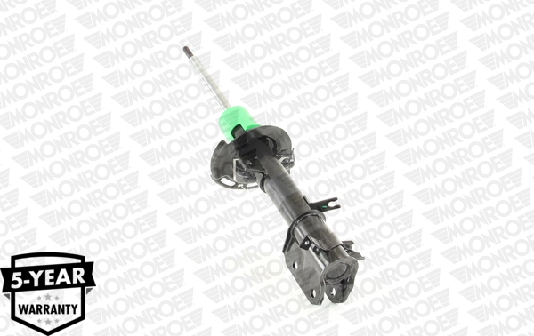 Amortizor