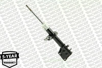 Amortizor