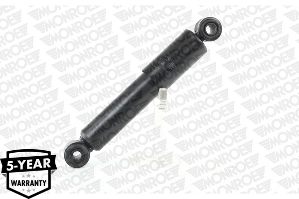 Amortizor