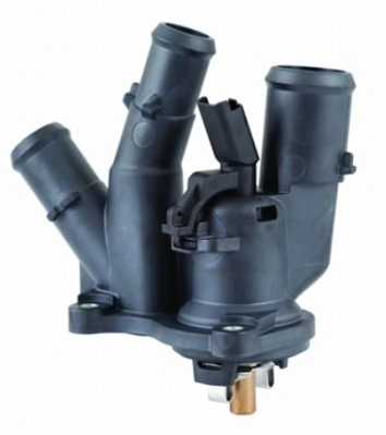 Termostat lichid racire