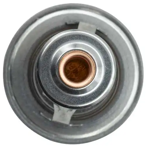 Termostat lichid racire