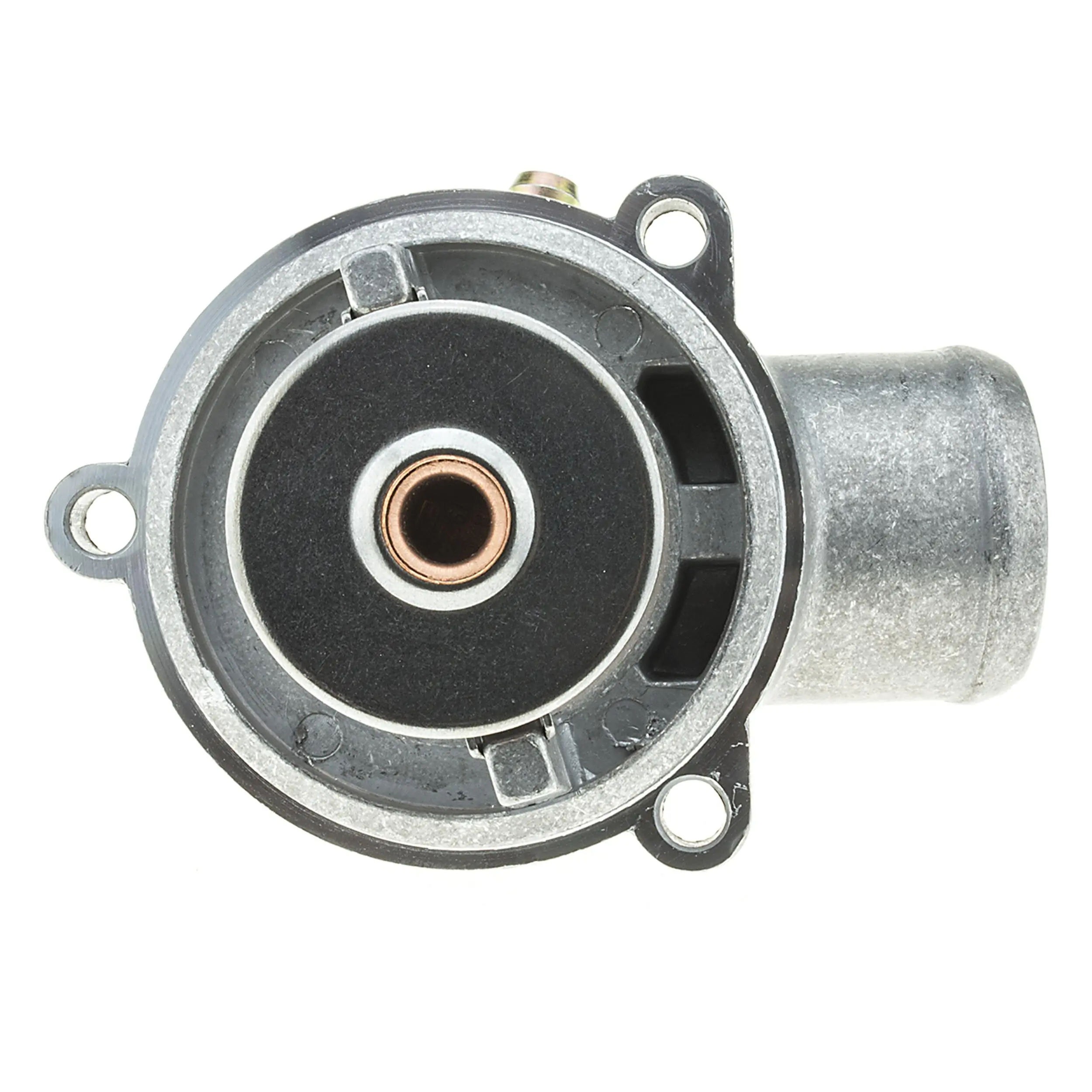 Termostat lichid racire