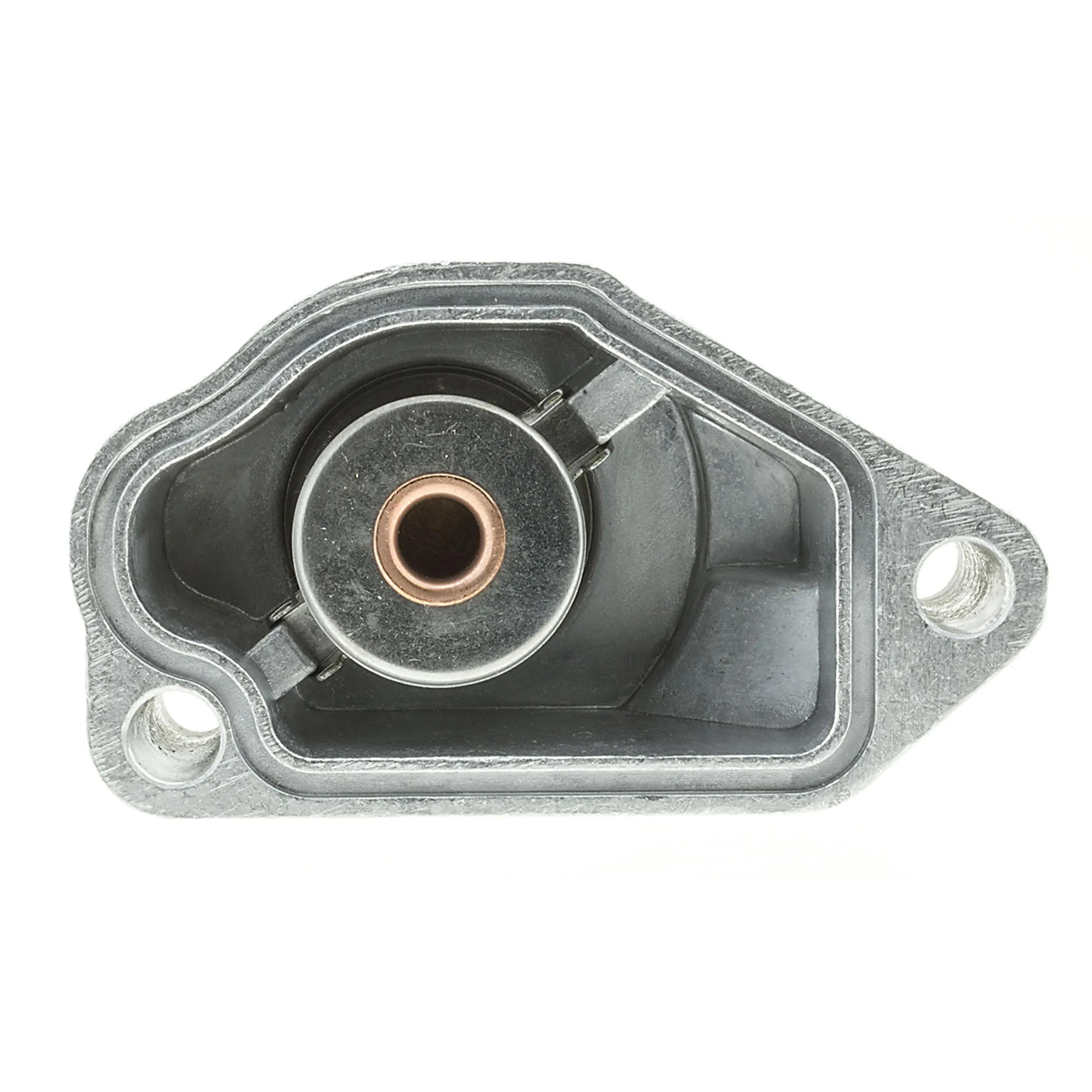 Termostat lichid racire