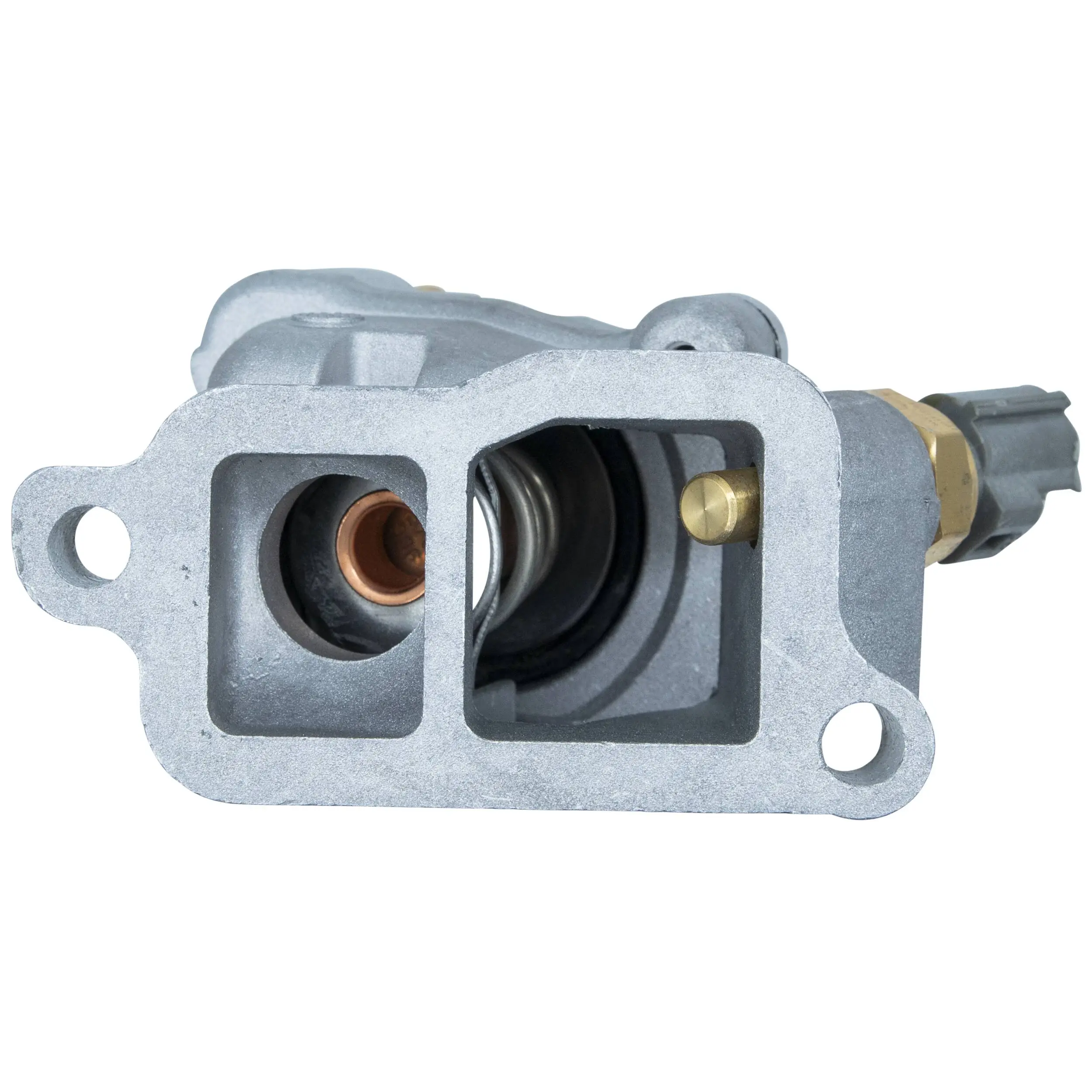 Termostat lichid racire