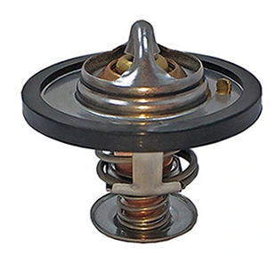 Termostat lichid racire