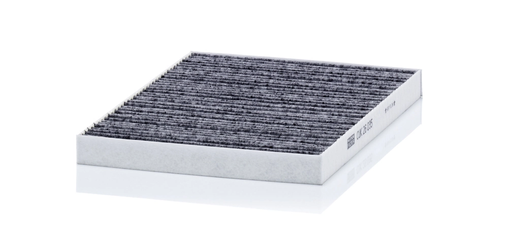 Filtru aer habitaclu