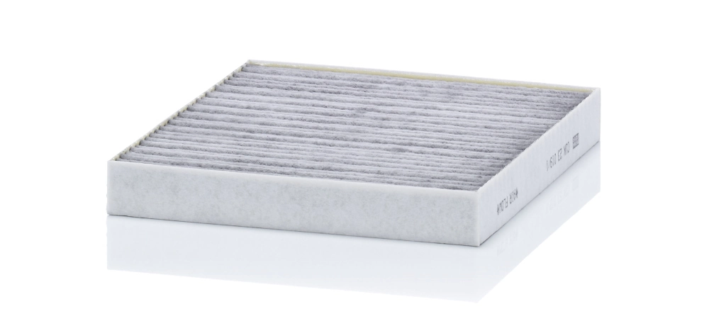 Filtru aer habitaclu