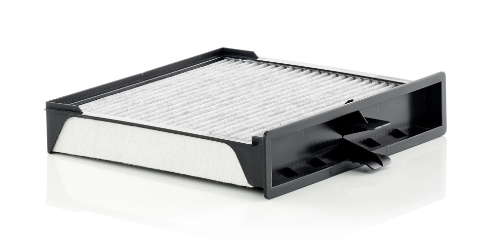 Filtru aer habitaclu