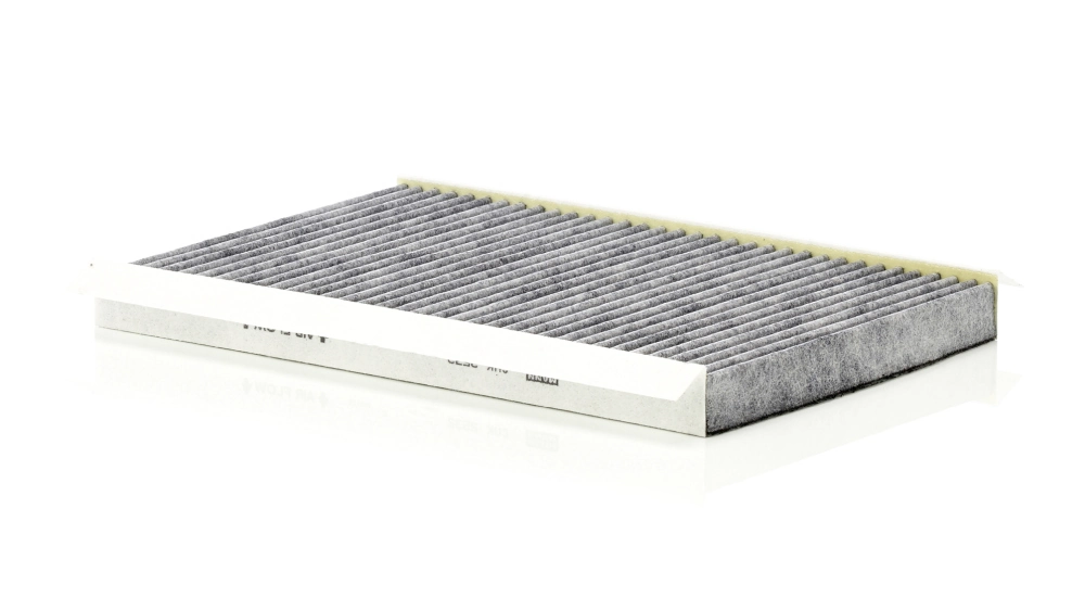 Filtru aer habitaclu