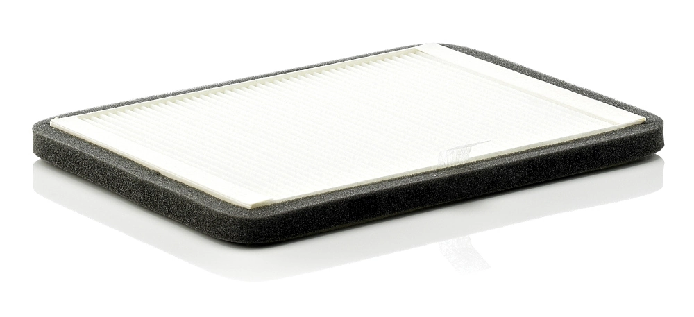 Filtru aer habitaclu