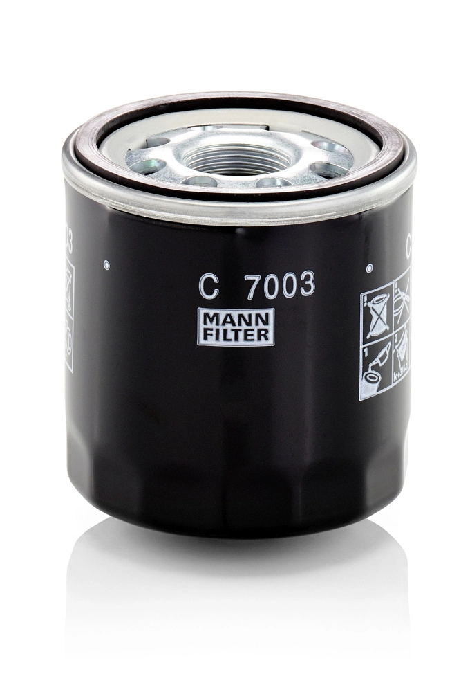 Filtru aerisire (rezervor de combustibil)