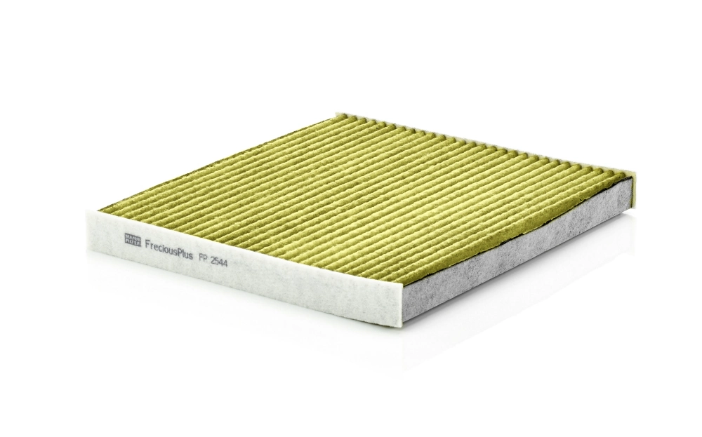 Filtru aer habitaclu