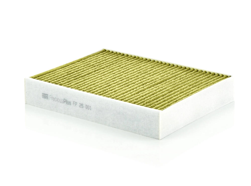 Filtru aer habitaclu