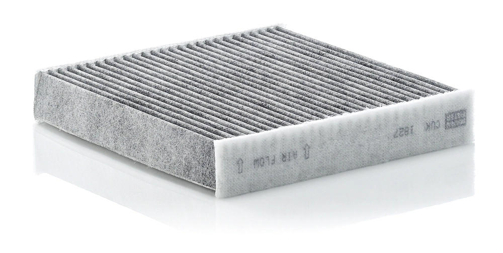 Filtru aer habitaclu