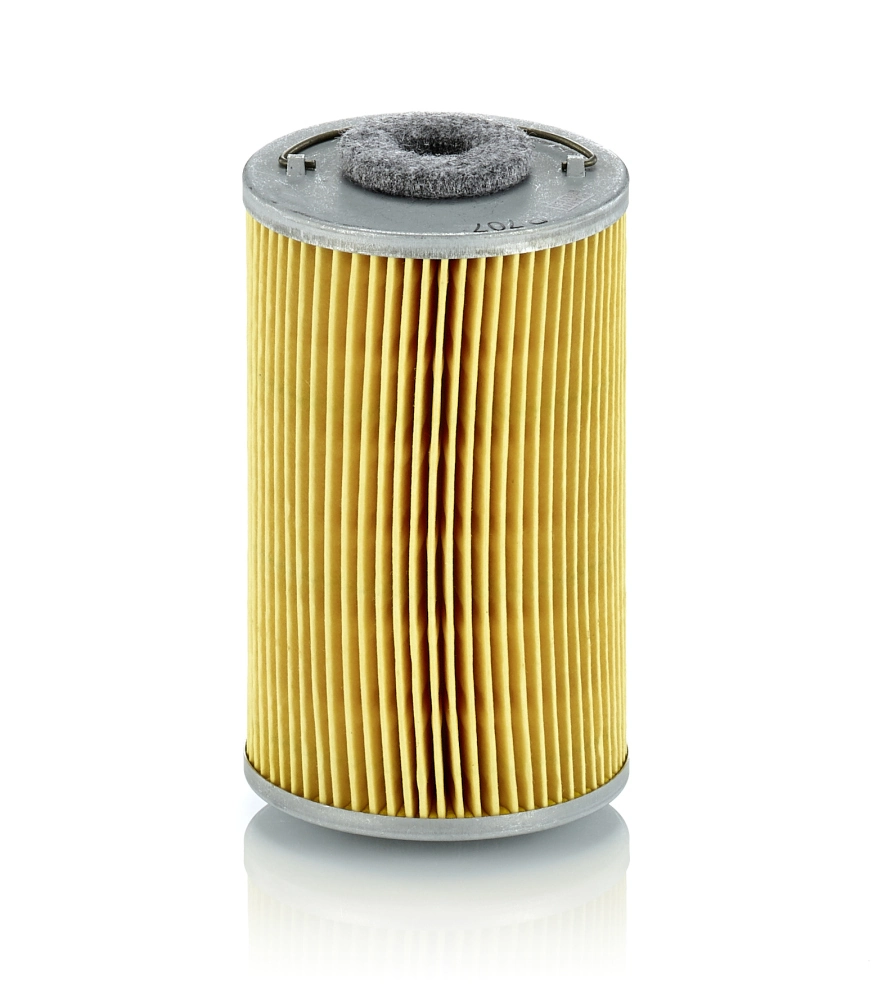 Filtru combustibil