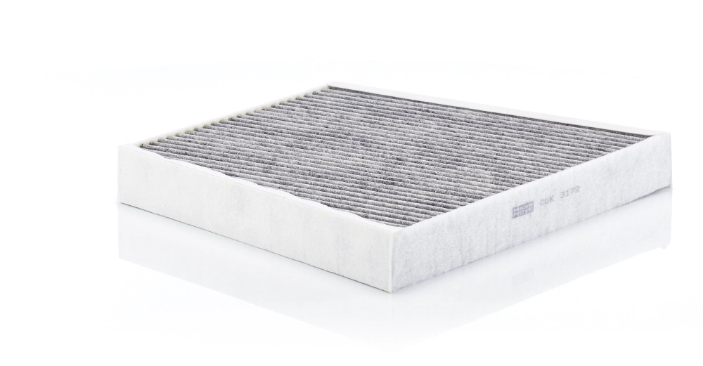 Filtru aer habitaclu