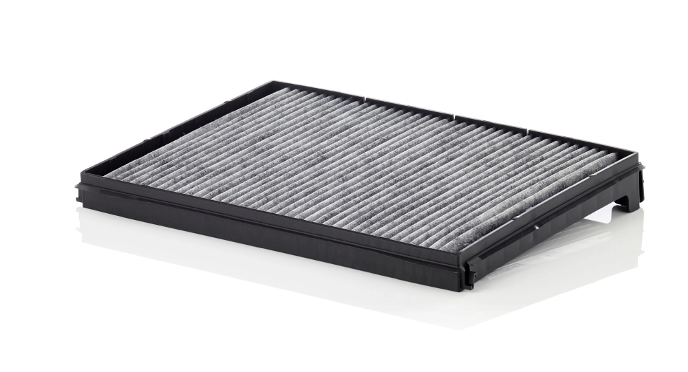 Filtru aer habitaclu