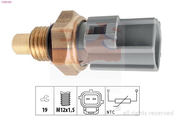 Senzor temperatura combustibil