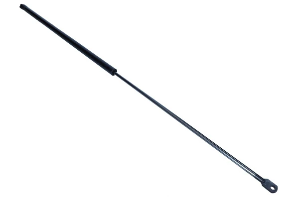 Amortizor capota