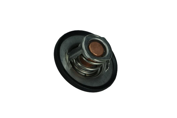 Termostat,lichid racire